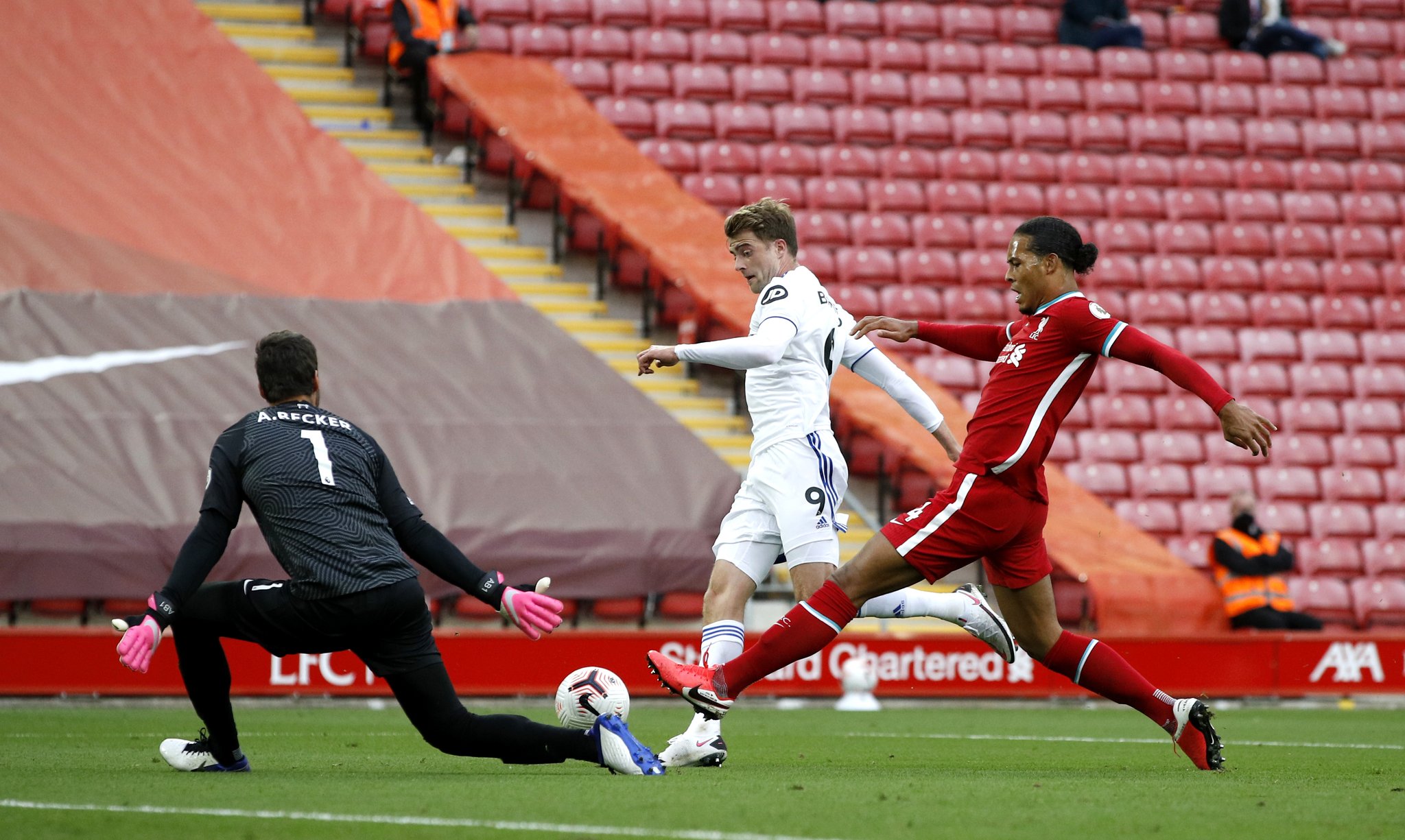 青岛队的新 青岛队的新